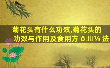 菊花头有什么功效,菊花头的功效与作用及食用方 🌼 法